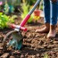 Как выбрать идеальный садовый культиватор: ваши советы и рекомендации