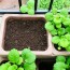 Comment démarrer un potager en carrés sur son balcon ? Guide pratique pour débutants