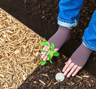 Todo sobre los mantillos: Guía completa de tipos de mantillo y sus beneficios