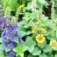 Mischkultur: Qué plantas se llevan bien y cómo crear un huerto armonioso