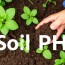 Descubriendo el secreto bajo tus pies: Comprender el pH del suelo y cómo enmendarlo