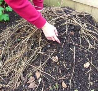 Einen Komposthaufen anlegen: So geht’s richtig — La guía práctica y amigable para crear tu propio compost