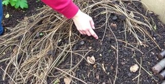 Einen Komposthaufen anlegen: So geht’s richtig — La guía práctica y amigable para crear tu propio compost