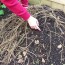 Einen Komposthaufen anlegen: So geht’s richtig — La guía práctica y amigable para crear tu propio compost