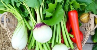 Gemüse lagern: Cómo conservar la cosecha y mantener las verduras frescas por más tiempo