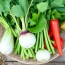 Gemüse lagern: Cómo conservar la cosecha y mantener las verduras frescas por más tiempo