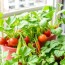 Gemüseanbau auf dem Balkon: Las mejores variedades para cultivar en tu balcón