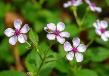 Plantas que Repelen Mosquitos de Forma Natural: Convierte tu jardín en una barrera aromática