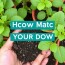Apprendre à composer son propre terreau : le guide pratique pour des plantes épanouies