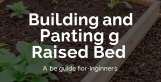 Hochbeet anlegen und bepflanzen: Un guide para principiantes que quiere cultivar con éxito