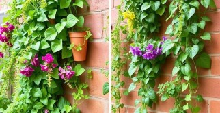 Vertikales Gärtnern: Platz sparen mit Kletterpflanzen — Guía práctica y creativa para ahorrar espacio con plantas trepadoras