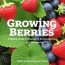 Guía para cultivar frutos rojos: fresas, frambuesas y arándanos para el jardín y la terraza