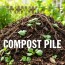Cómo empezar un montón de compost en tu jardín y convertir tus residuos en oro para las plantas