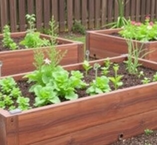 Huerto en Mesas de Cultivo: Ventajas y Cómo Empezar
