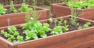 Huerto en Mesas de Cultivo: Ventajas y Cómo Empezar