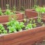 Huerto en Mesas de Cultivo: Ventajas y Cómo Empezar