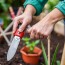 Как выбрать садовый инвентарь: Полное руководство для начинающих садоводов