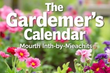 El Calendario del Jardinero: Tareas Mes a Mes para un Jardín Saludable Todo el Año