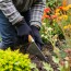 Den Garten winterfest machen: Cómo preparar tu jardín para el invierno sin estrés