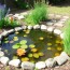 Cómo crear una poza natural en tu jardín: una guía práctica para diseñar un oasis vivo