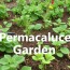 Cultiver un jardin en permaculture : les principes de base pour réussir naturellement