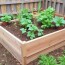 Un potager surélevé: ventajas y cómo construirlo