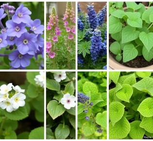 10 Plantas Aromáticas Fáciles de Cultivar en Casa: Tu Huerto de Aromas en Maceta