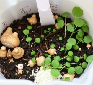 Comment faire son propre compost en appartement (lombricomposteur)? — The Complete, Friendly Guide to Vermicomposting Indoors