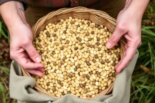 Récolter et conserver ses graines pour l'année suivante — The Friendly, Complete Guide to Saving Seeds