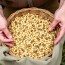 Récolter et conserver ses graines pour l’année suivante — The Friendly, Complete Guide to Saving Seeds