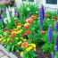 Designing a Perennial Flower Bed That Blooms All Year