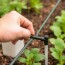Install an Economical Drip Irrigation System: A Friendly Step-by-Step Guide for Thrifty Gardeners