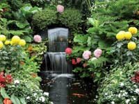 Декорирование садового водопада растениями как создать удачную композицию